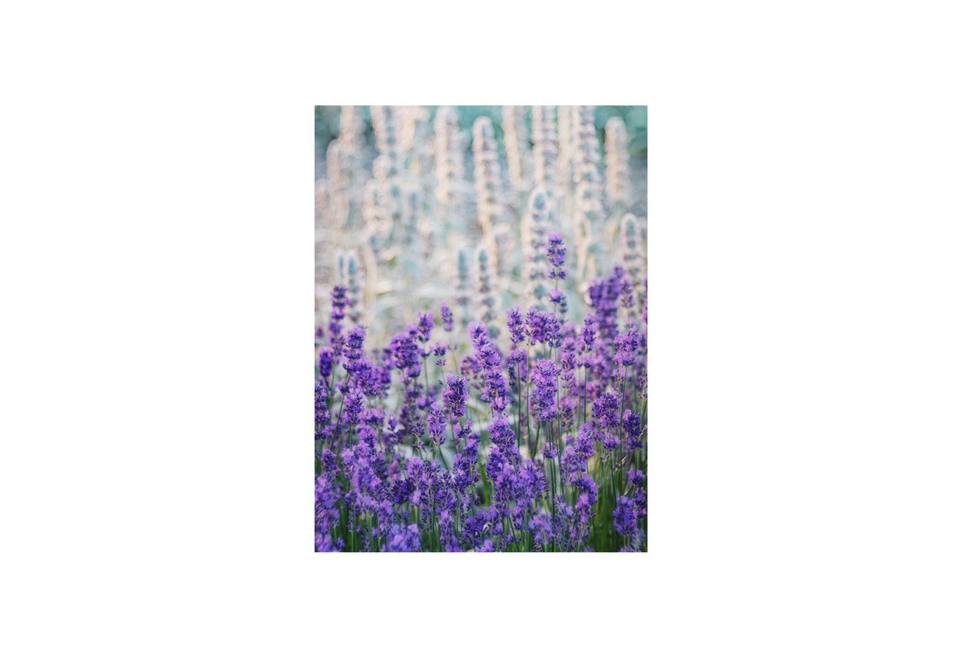 Roomy Fensterfolie Fensterfolie Roomy Fensterfolie Fensterfolie von Roomy