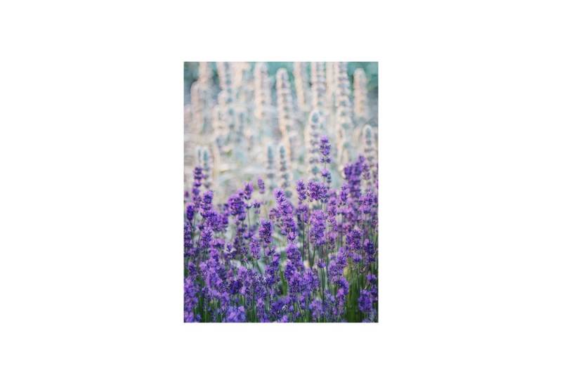 Roomy Fensterfolie Fensterfolie Roomy Fensterfolie Fensterfolie von Roomy