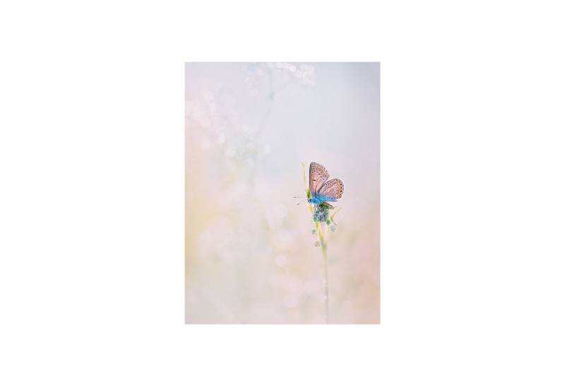 Roomy Fensterfolie Fensterfolie Roomy Fensterfolie Fensterfolie von Roomy