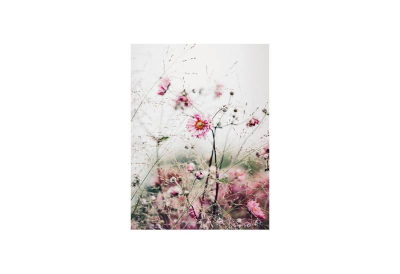 Roomy Fensterfolie Fensterfolie Roomy Fensterfolie Fensterfolie von Roomy