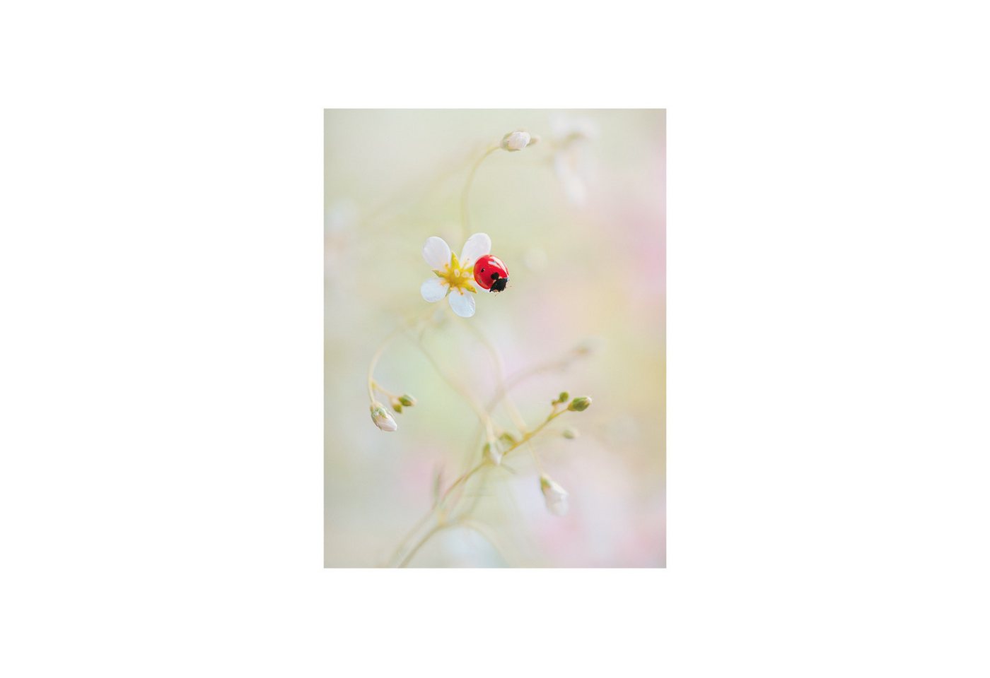 Roomy Fensterfolie Fensterfolie Roomy Fensterfolie Fensterfolie von Roomy