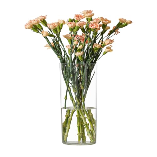 RosPynn Blumenvase, Acryl-Zylinder, 20 cm hoch, transparente Vase für Tafelaufsätze, Hochzeitsdekoration, Heimdekoration, nicht zerbrechlicher Kunststoff, 10 x 20 cm hoch, rund, transparent von RosPynn