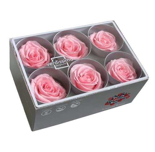 Decoflorales® - Echte, auf Glycerinbasis konservierte Rosenköpfe; Farbe rosa; 6 Stück von Rose4Ever