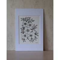 Feine Linie Blumenzeichnung Schwarze Tinte Blumenkunst, Fertig Zum Einrahmen von RoseEvelynartstudio