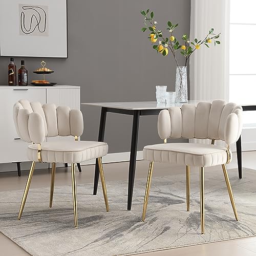 Moderner Samt Wohnzimmersessel, bequemer Stuhl für Esszimmer, Wohnzimmer, Schlafzimmer und Büro, mit bequemer Blüten-Rückenlehne und abgerundeten Armlehnen, Metall-Stuhlbeine (Satz von 2) (Elfenbein) von Rosebibi