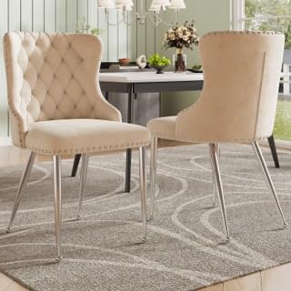 Rosebibi Hochwertiger Samtstoff, Esszimmerstuhl im Modestil, Leichter Luxus, einfach und modern, ergonomisch, mit verstellbarem Fußdesign (2, Silberne) von Rosebibi