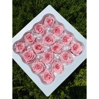 1 Zoll Vanille Pink Petit Charlotte Rose 16 Rosenkopf Hochzeit Rosa Blumengesteck Getrocknete Blume Dekor Home Konservierte von RoseforU