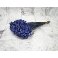 Blumengesteck Getrocknete Kobalt Blau Stern Hochzeit Blumendekor Home Blumengeschenk von RoseforU