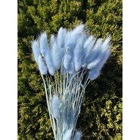 Getrocknete Blumen Hasengras Lagurus Grass Blumengesteck Blaue Bunnytail Stielblume Hochzeitsdeko Trockenblumenstrauß Blau von RoseforU