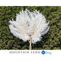 Weiss Berg Farn Trockenblumen Hochzeit Dekor Getrocknete Blumengesteck Bouquet Anstecknadel von RoseforU