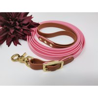 19mm Biothane® Longe, Kurzlonge, Bodenarbeitsleine, Zweifarbig, Für Minishetty, Shetty Und Pferd - Viele Längen Farben von RosemiaHandmade