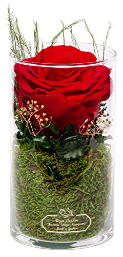 Rosen-Te-Amo | Muttertag Infinity Rosen | Premium konservierte ewige Rose rot | duftend | handgefertigt Deko-Foliage | feines Design|| Geburtstagsgeschenk für Frauen Mama Freundin Oma von Rosen-Te-Amo
