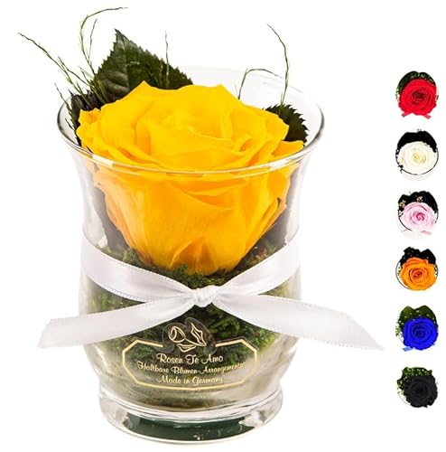 Rosen-Te-Amo | Muttertag Infinity Rosen | konservierte ewige Rose gelb im Glas-Vase | duftend | handgefertigt Deko-Foliage | feines Design || Geburtstagsgeschenk Frauen Mama Freundin Oma von Rosen-Te-Amo