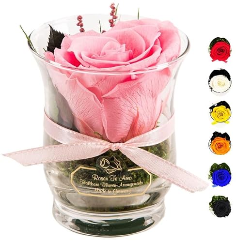 Rosen-Te-Amo | Muttertag Infinity Rosen | konservierte ewige Rose pink im Glas-Vase | duftend | handgefertigt Deko-Foliage | feines Design || Geburtstagsgeschenk Frauen Mama Freundin Oma von Rosen-Te-Amo