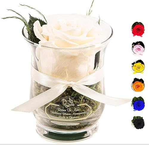 Rosen-Te-Amo | Muttertag Infinity Rosen | konservierte ewige Rose weiß im Glas-Vase | duftend | handgefertigt Deko-Foliage | feines Design | Geburtstagsgeschenk Frauen Mama Freundin Oma von Rosen-Te-Amo