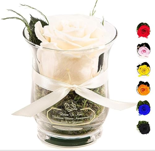Rosen-Te-Amo | Muttertag Infinity Rosen | konservierte ewige Rose weiß im Glas-Vase | duftend | handgefertigt Deko-Foliage | feines Design | Geburtstagsgeschenk Frauen Mama Freundin Oma von Rosen-Te-Amo