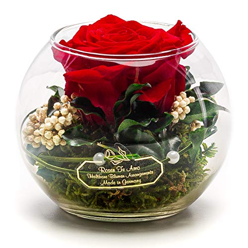 Rosen-Te-Amo | Muttertag Infinity Rosen | konservierte ewige Rose im Glas-Vase | duftend | handgefertigt - 100% echten Deko-Foliage | feines Design | Geburtstagsgeschenk für Frauen Mama Freundin Oma von Rosen-Te-Amo