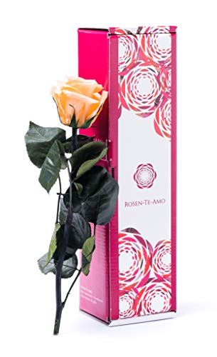 Rosen-Te-Amo | Muttertag Infinity Rosen | konservierte ewige Rose pfirsichfarben & Grußkarte | Geschenk-Box | feines Design || Geburtstagsgeschenk für Frauen Mama Freundin Oma von Rosen-Te-Amo