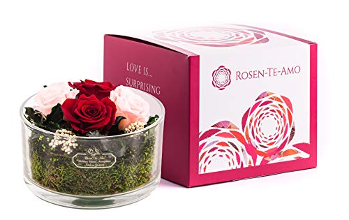 Rosen-Te-Amo, Geschenke für sie || Muttertag konservierte ewige Rosen im Glass | duftend | handgefertigt mit echten Deko-Foliage in feiner Geschenkbox || Infinity Rosen: Deko & Geschenke für Frauen von Rosen-Te-Amo