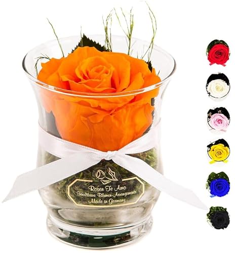 Rosen-Te-Amo | Muttertag Infinity Rosen | konservierte ewige Rose orange im Glas-Vase | duftend | handgefertigt Deko-Foliage | feines Design| Geburtstagsgeschenk Frauen Mama Freundin Oma von Rosen-Te-Amo