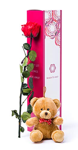 Rosen-Te-Amo | Muttertag Infinity Rosen | konservierte ewige Rose | hellbrauner Teddybär & Grußkarte | Geschenk-Box | feines Design || Geburtstagsgeschenk für Frauen Mama Freundin Oma von Rosen-Te-Amo
