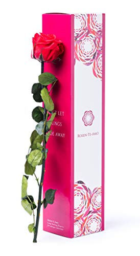 Rosen-Te-Amo | Muttertag Infinity Rosen | rote konservierte ewige Rose (40 cm) & Grußkarte | Geschenk-Box | feines Design || Geburtstagsgeschenk für Frauen Mama Freundin Oma von Rosen-Te-Amo