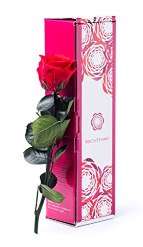 Rosen-Te-Amo | Muttertag Infinity Rosen | rote konservierte ewige Rose & Grußkarte | Geschenk-Box | feines Design || Geburtstagsgeschenk für Frauen Mama Freundin Oma von Rosen-Te-Amo