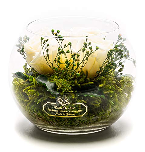 Rosen-Te-Amo | Muttertag Infinity Rosen | konservierte ewige Rosen Glas-Vase | duftend | handgefertigt mit echten Deko-Foliage | Blumenstrauß langlebiges Design | Geschenk Frauen Mama Freundin Oma von Rosen-Te-Amo