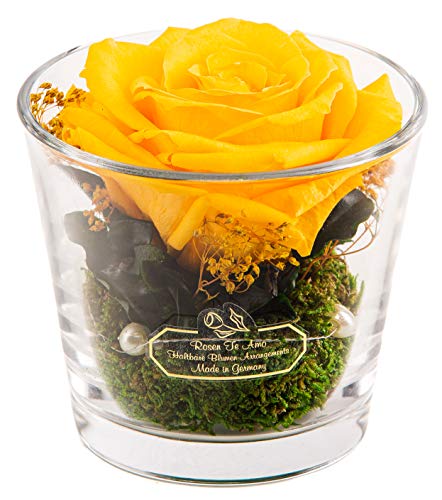 Rosen-Te-Amo | Muttertag Infinity Rosen | konservierte ewige Rose gelb in konischen-Vase | duftend | handgefertigt Deko-Foliage | feines Design || Geschenk Frauen Mama Freundin Oma von Rosen-Te-Amo