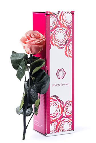 Rosen-Te-Amo | Muttertag Infinity Rosen | konservierte ewige Rose pink & Grußkarte | Geschenk-Box | feines Design || Geburtstagsgeschenk für Frauen Mama Freundin Oma von Rosen-Te-Amo
