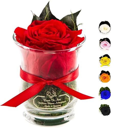 Rosen-Te-Amo | Muttertag Infinity Rosen | konservierte ewige Rose rot im Glas-Vase| duftend | handgefertigt Deko-Foliage | feines Design || Geburtstagsgeschenk Frauen Mama Freundin Oma von Rosen-Te-Amo