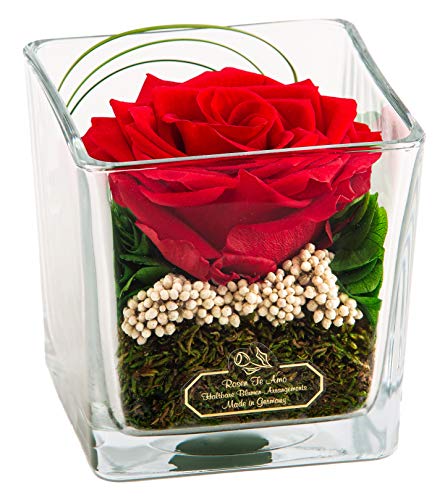 Rosen-Te-Amo | Muttertag Infinity Rosen | Premium konservierte ewige Rose im Glas-Vase| duftend | handgefertigt mit echten Deko-Foliage | feines Design | Geburtstagsgeschenk Frauen Mama Freundin Oma von Rosen-Te-Amo