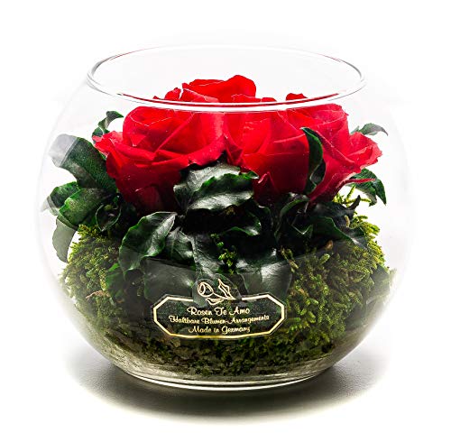 Rosen-Te-Amo | Muttertag Infinity Rosen | konservierte ewige Rosen Glas-Vase| duftend | handgefertigt mit echten Deko-Foliage | Blumenstrauß stylisches Design | Geschenk für Frauen Mama Freundin Oma von Rosen-Te-Amo