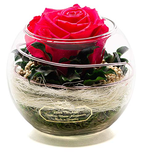 Rosen-Te-Amo | Muttertag Infinity Rosen | Premium konservierte ewige Rose im Glas-Vase | duftend | handgefertigt mit echten Deko-Foliage | feines Design | Geburtstagsgeschenk Frauen Mama Freundin Oma von Rosen-Te-Amo