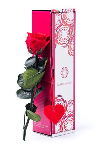 Rosen-Te-Amo | Muttertag Infinity Rosen | konservierte ewige Rose rot | "Valentine Edition" mit Herz & Grußkarte | feines Design || Geburtstagsgeschenk für Frauen Mama Freundin Oma von Rosen-Te-Amo