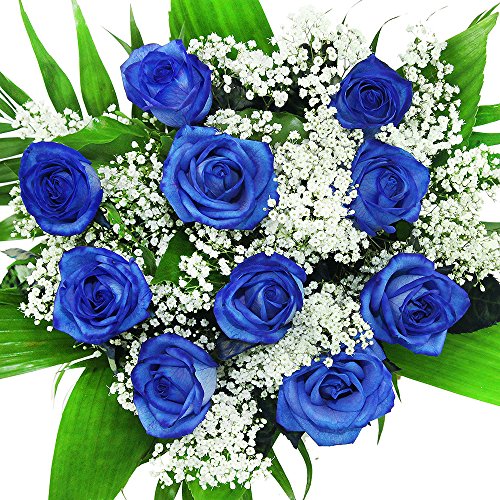 Großer Blumenstrauß - 10 blaue Rosen und Schleierkraut - Rosenstrauß inklusive gratis Grußkarte von Rosenbote