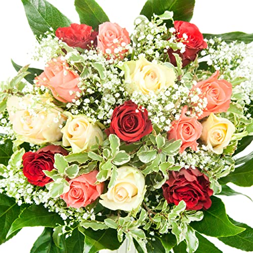Bunter Blumenstrauß - 12 Rosen in Rot/Weiß/Rosa mit Schleierkraut - Inklusive Grußkarte von Rosenbote