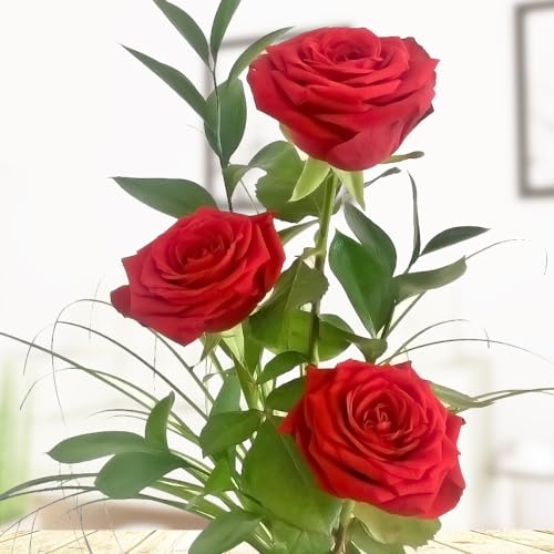 3 rote Rosen - XXL-Blüte - Rosenstrauß mit Rosen, Ruskus und Gräsern - Inklusive gratis Vase und Grußkarte von Rosenbote