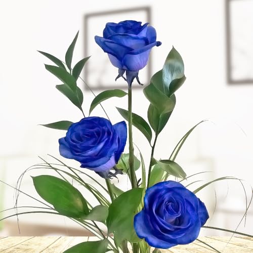 3 blaue Rosen - Rosenstrauß mit drei langstieligen Rosen, Ruskus und Gräsern - Inklusive gratis Vase und Grußkarte von Rosenbote