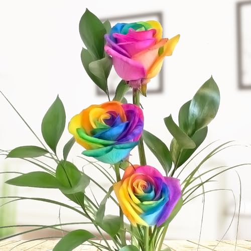3 bunte Rosen - Regenbogenrosen - Dekoriert mit Ruskus und Gräsern - Inklusive gratis Vase und Grußkarte # Eier färben kann ja jeder :-) von Rosenbote