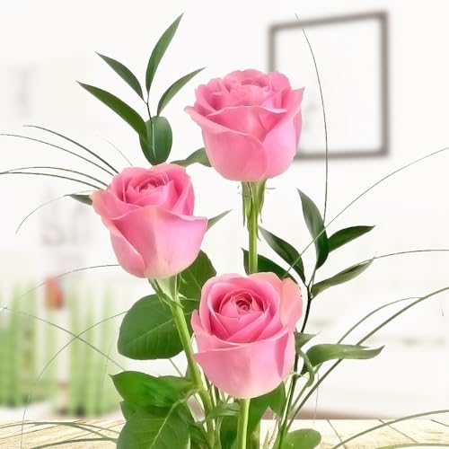 3 rosa Rosen - Rosenstrauß mit drei langstieligen Rosen, Ruskus und Gräsern - Inklusive gratis Vase und Grußkarte von Rosenbote
