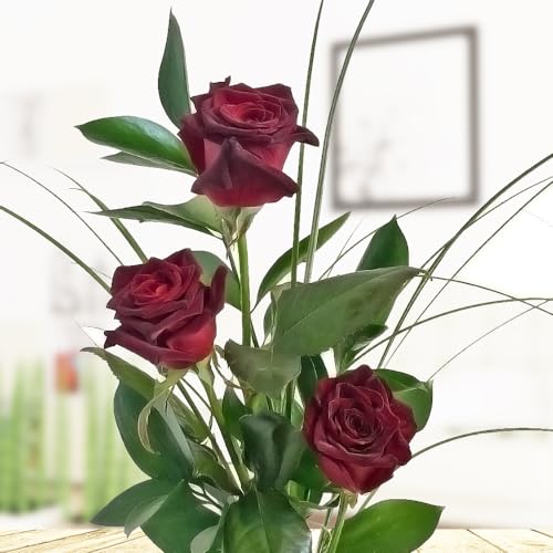 3 schwarze Rosen - Rosenstrauß mit drei langstieligen Rosen, Ruskus und Gräsern - Inklusive gratis Vase und Grußkarte von Rosenbote