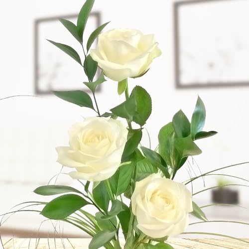 3 weiße Rosen - Rosenstrauß mit drei langstieligen Rosen, Ruskus und Gräsern - Inklusive gratis Vase und Grußkarte von Rosenbote