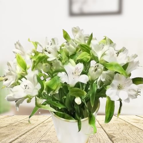 Blumen Geschenkset - Blumenstrauß mit weißen Alstromerien - Inklusive Keramikvase und Grußkarte von Rosenbote