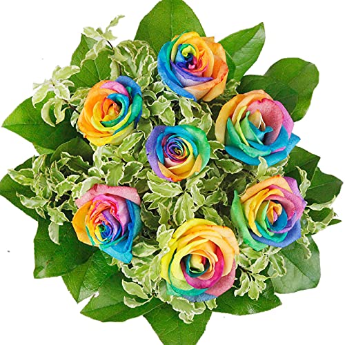 Blumenstrauß - Rainbow Strauß mit bunten Regenbogenrosen # Geburtstag # Regenbogen # Rosen von Rosenbote