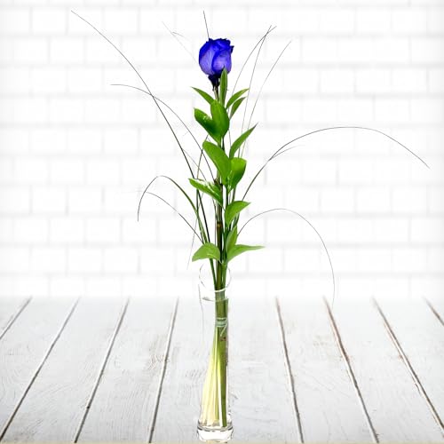 Einzelne blaue Rose - Mit Gräsern dekoriert - Inklusive gratis Grußkarte von Rosenbote