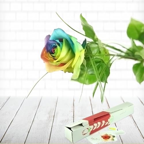 Einzelne Regenbogenrose - Bunte Rose mit Gräsern dekoriert - Inklusive gratis Grußkarte von Rosenbote
