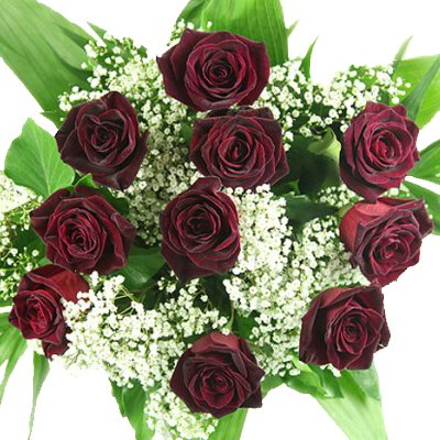 Großer Blumenstrauß - 10 schwarze Rosen und Schleierkraut - Rosenstrauß inklusive gratis Grußkarte von Rosenbote