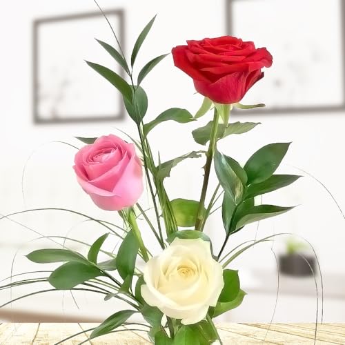 Rosenstrauß mit 3 langstieligen Rosen, Ruskus und Gräsern - Inklusive gratis Vase und Grußkarte von Rosenbote
