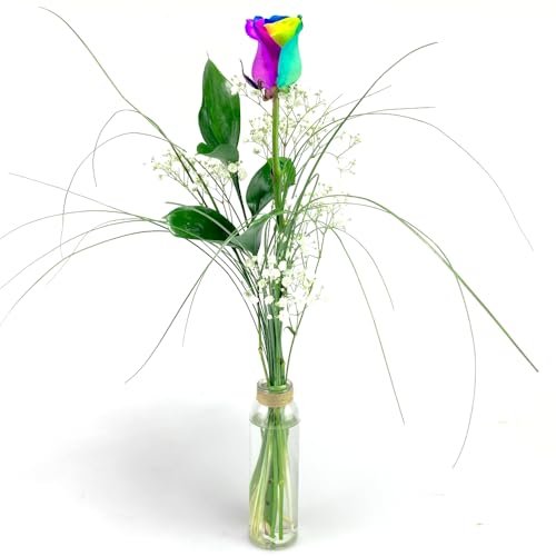 Regenbogenrose mit Schleierkraut und Gräsern - Inklusive Vase und Grußkarte von Rosenbote